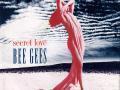 Details Bee Gees - Secret Love