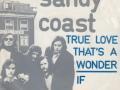 Details Sandy Coast - True Love That's A Wonder