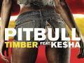 Details pitbull feat. ke$ha - timber