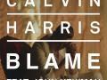 Details Calvin Harris feat. John Newman - Blame