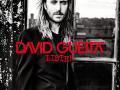 Details David Guetta feat. Emeli Sandé - What I did for love