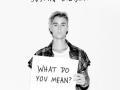 Details Justin Bieber - What do you mean?