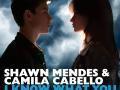 Details Shawn Mendes & Camila Cabello - I know what you did last summer