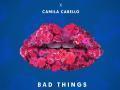 Details Machine Gun Kelly x Camila Cabello - Bad things