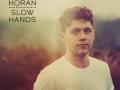 Details Niall Horan - Slow hands