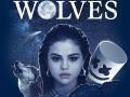 Details Selena Gomez x Marshmello - Wolves