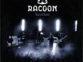 Details Racoon - Brother