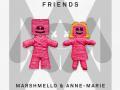 Details Marshmello & Anne-Marie - Friends