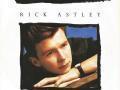 Details Rick Astley - Never Gonna Give You Up