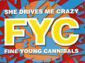 Details FYC [Fine Young Cannibals] - She Drives Me Crazy