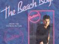 Details The Beach Boys - Kokomo