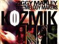 Details Ziggy Marley and The Melody Makers - Kozmik