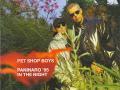 Details Pet Shop Boys - Paninaro '95