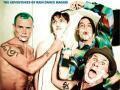 Details Red Hot Chili Peppers - The adventures of rain dance Maggie