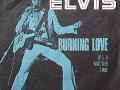 Details Elvis - Burning Love