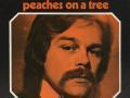 Details Nick Mackenzie - Peaches On A Tree