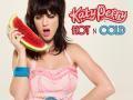 Details Katy Perry - Hot N Cold