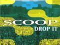 Details Scoop - Drop It