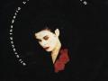 Details Lisa Stansfield - All Around The World