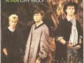 Details A-Ha - Cry Wolf