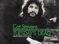 Details Cat Stevens - Tuesday's Dead