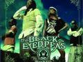 Details The Black Eyed Peas - Don't Lie
