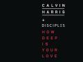 Details Calvin Harris + Disciples - How deep is your love