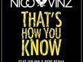 Details Nico & Vinz feat. Kid Ink & Bebe Rexha - That's how you know