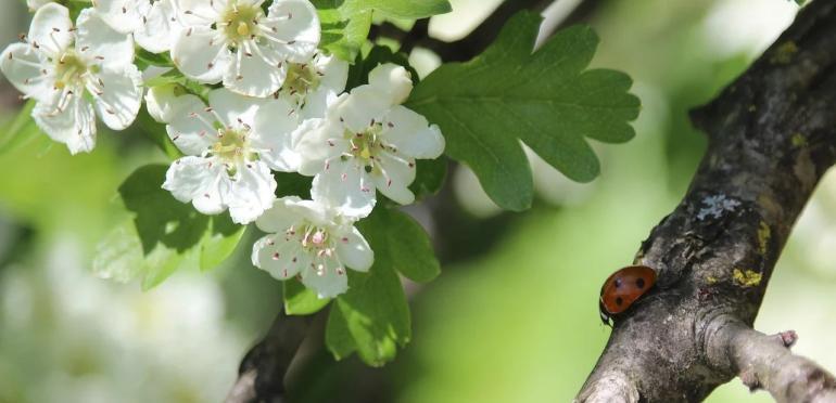 De Top 4 scheurt april van de kalender