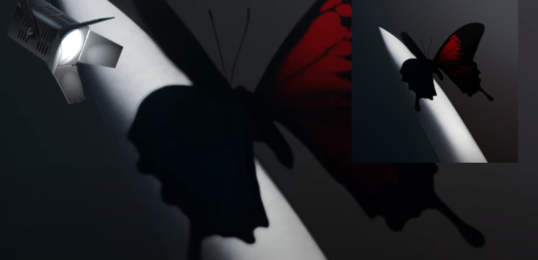 Spotlight: Cooped Up