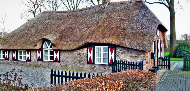 De Top 4 gaat naar de boerderij