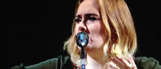 Adele geniet van Glastonbury
