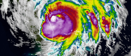 Sterren leven mee met orkaan-slachtoffers