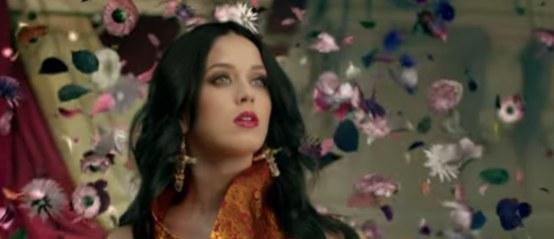 Katy Perry en Cher in protest