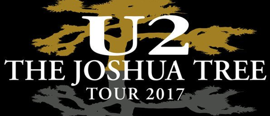 Joshua Tree Tour succesvol