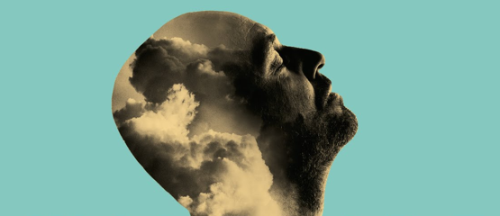 Niels Geusebroek wordt weer vader