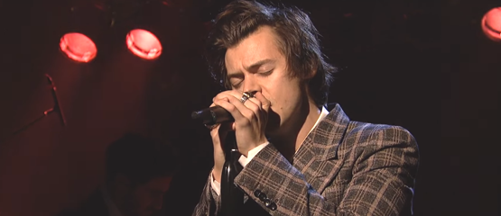 Harry Styles meer thuis