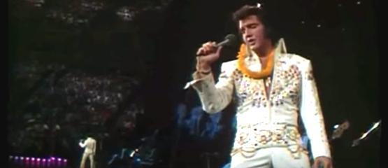 Privé-vliegtuig Elvis geveild