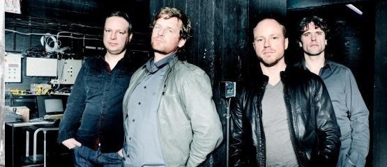 Album en concerten Racoon