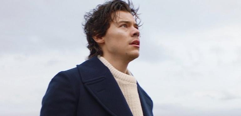 Harry Styles wilde pauze One Direction