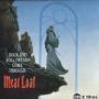 Coverafbeelding Meat Loaf - Rock And Roll Dreams Come Through