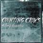 Trackinfo Counting Crows - A Long December