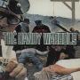 Trackinfo The Dandy Warhols - Godless