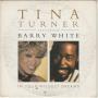 Coverafbeelding Tina Turner featuring Barry White - In Your Wildest Dreams