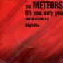 Details The Meteors - It's You, Only You (Mein Schmerz)