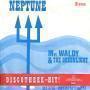 Details Mr. Waldy & The Greenlight - Neptune