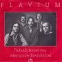 Trackinfo Flavium - Nobody Knows You When You're Down And Out