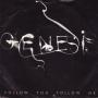 Coverafbeelding Genesis - Follow You Follow Me