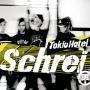 Coverafbeelding Tokio Hotel - Schrei