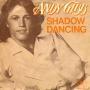 Coverafbeelding Andy Gibb - Shadow Dancing
